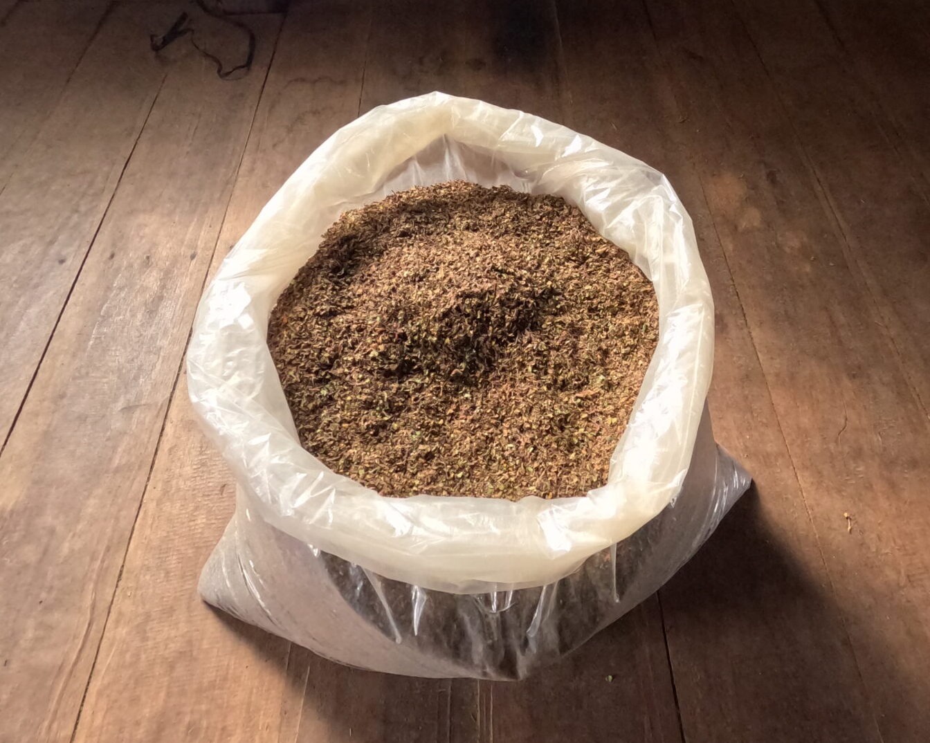 Des feuilles de kratom rouges broyées dans un grand sac en plastique posé par terre
