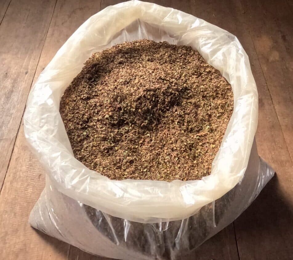Des feuilles de kratom rouges broyées dans un grand sac en plastique posé par terre