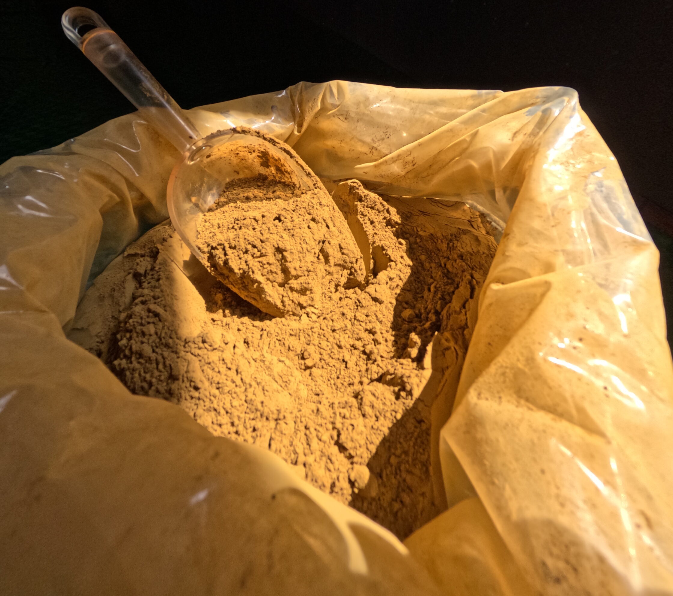 Poudre de kratom rouge dans un sachet en plastique, sur fond sombre