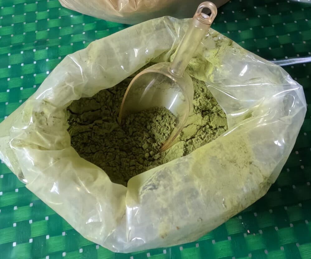 Poudre de kratom vert dans un sachet avec une cuillère