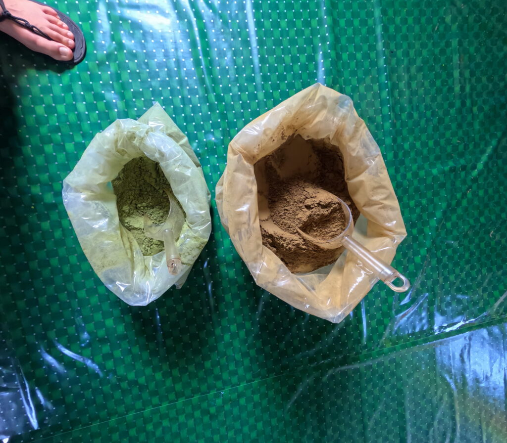 kratom color variation