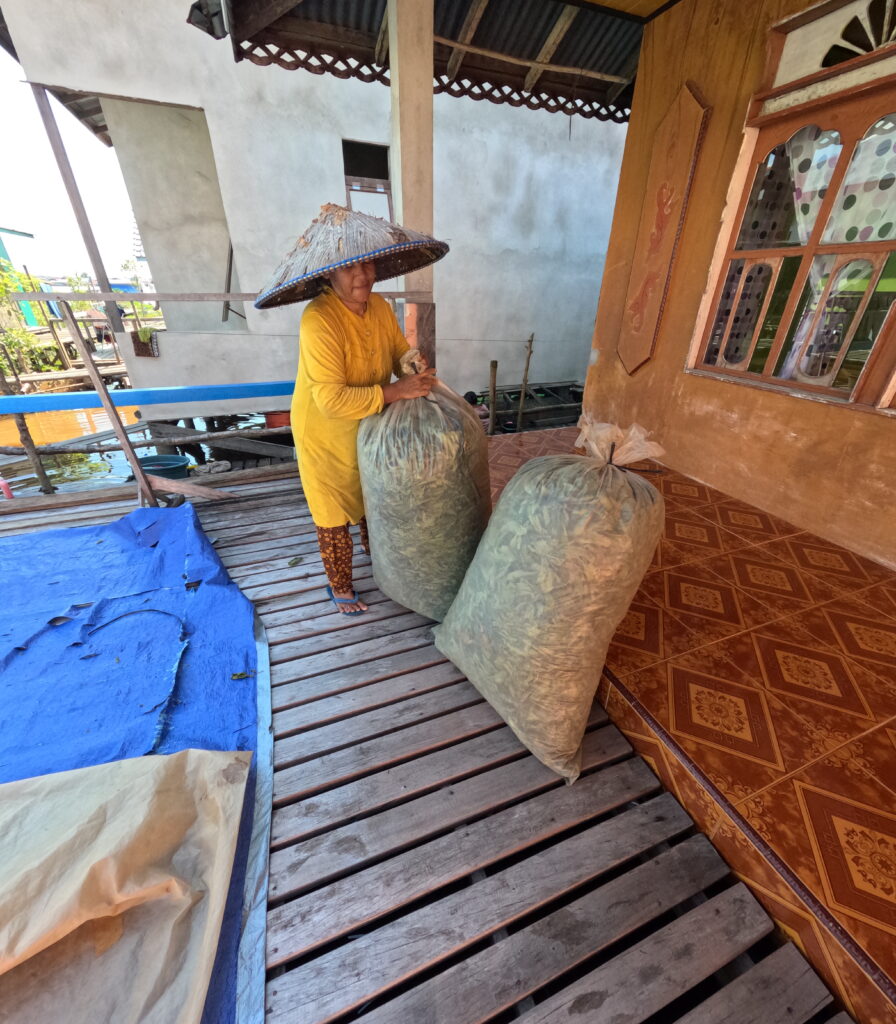 kratom drying process