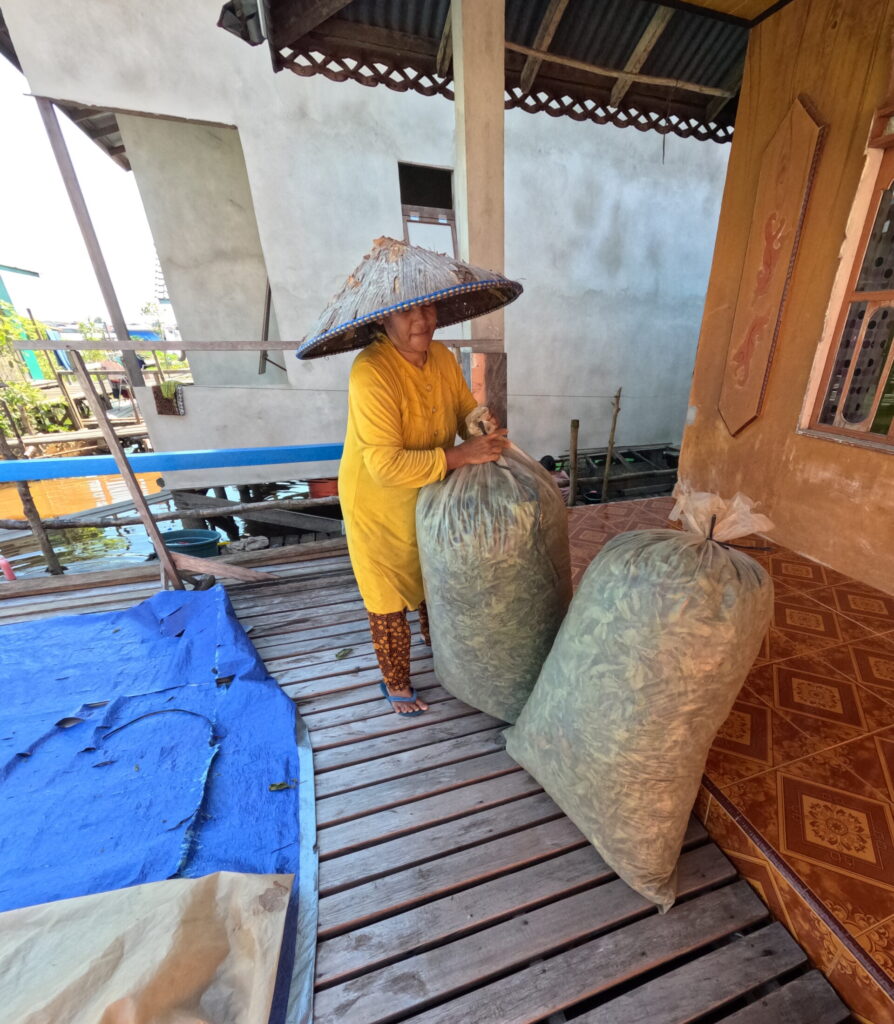 kratom drying process