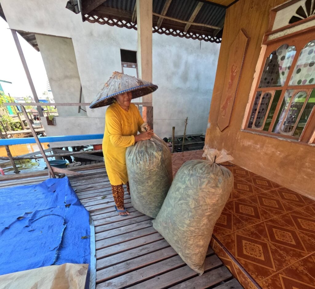 kratom drying process