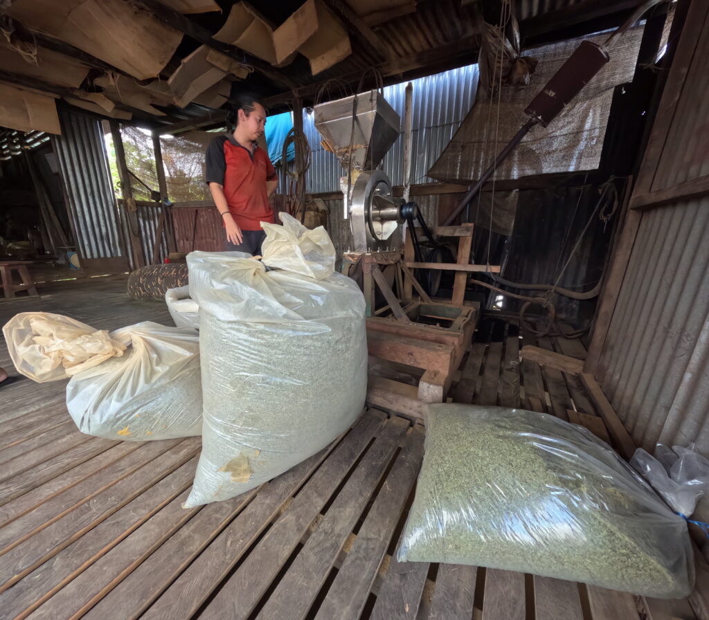 processus de broyage du kratom