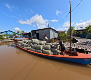 kratom ready for export