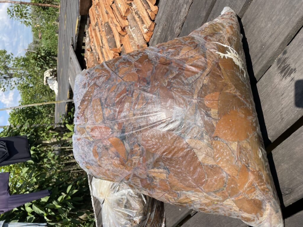 fermented red kratom