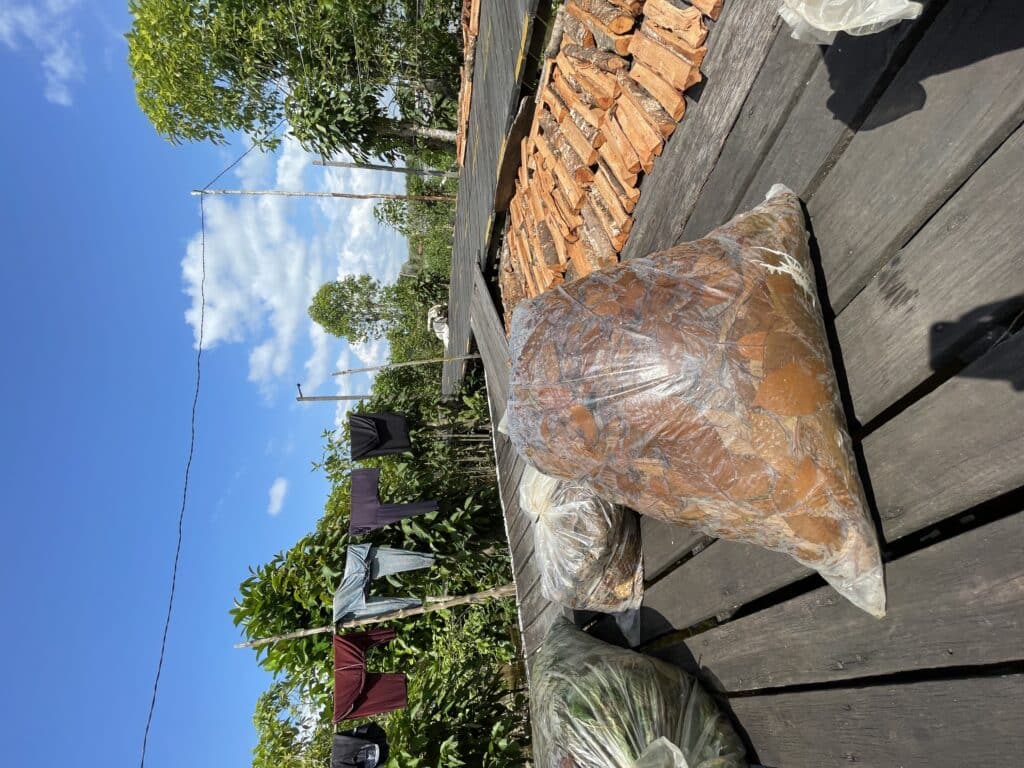 Red kratom leaves fermenting in a bag in the sun