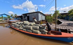 Workers loading a boat with huge industrial Kratom bag in Djongkong Indonesia