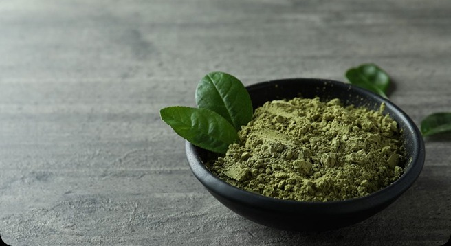 Innovations in botanical conservation